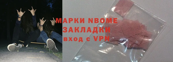 СК Алексин