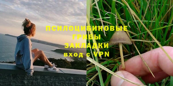 ГАЛЛЮЦИНОГЕННЫЕ ГРИБЫ Алексеевка