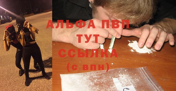 СК Алексин