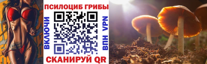 Галлюциногенные грибы мицелий  ОМГ ОМГ ссылка  Пугачёв  хочу  