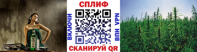 купить закладку Пугачёв Марихуана LSD WEED